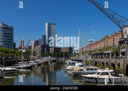 Port d'Entrpot, Marina à Kop van Zuid, Rotterdam, pays-Bas Banque D'Images