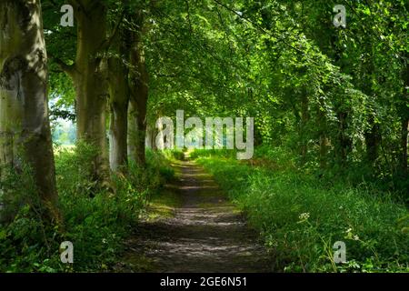 Marquette Park (Heemskerk, pays-Bas) Banque D'Images