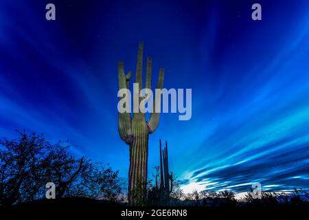 Sonoran Desert Sunset Arizona Banque D'Images