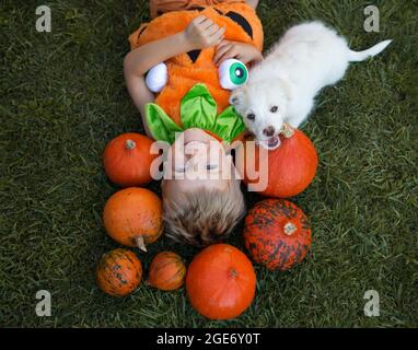 un joli garçon de 4 ans se trouve sur l'herbe dans un costume de citrouille. Il y a beaucoup de citrouilles orange autour de sa tête. Petit chiot blanc est assis à proximité. Amitié de Banque D'Images