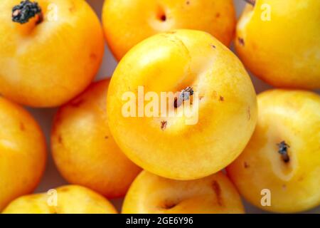 Prunes fraîches et jaune vif en groupe – blanc FOOPPIX Banque D'Images