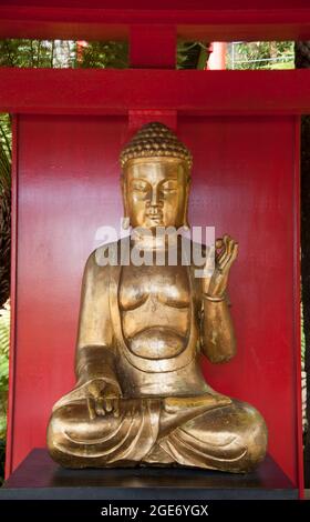 Statue du Bouddha, jardin chinois, jardin tropical, Palais de Monte, Funchal, Madère, Portugal, Europe Banque D'Images