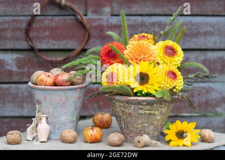 décoration de jardin avec bouquet de tournesol et dahlias et pommes en pots de terre cuite Banque D'Images