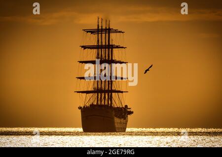 Le bateau de croisière Golden Horizon navigue à Torbay, Devon, Royaume-Uni, au lever du soleil. Le majestueux bateau est le plus grand bateau à voile carré au monde. Banque D'Images