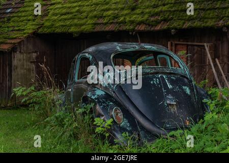 Vieille voiture bleue dans de l'herbe verte longue près de l'ancienne grange brune en bois Banque D'Images