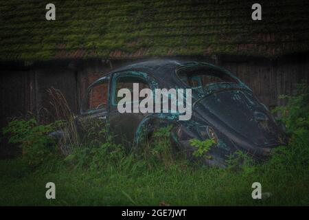 Vieille voiture bleue dans de l'herbe verte longue près de l'ancienne grange brune en bois Banque D'Images