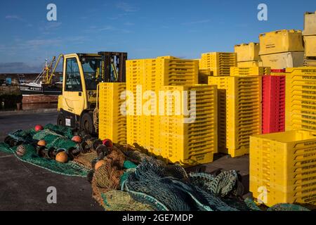 Des piles de caisses et de filets en plastique jaune vif sur le quai de Newlyn Harbour, en Cornouailles, en Angleterre. Banque D'Images