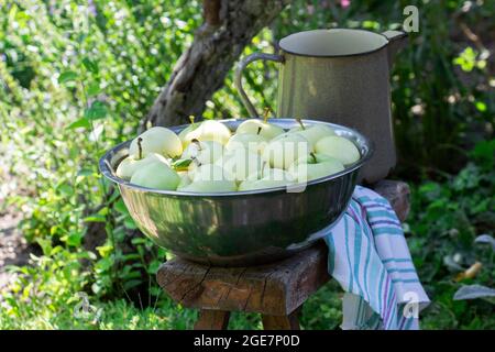 Un bassin avec de l'eau et des pommes sur le fond d'un jardin d'été. Banque D'Images