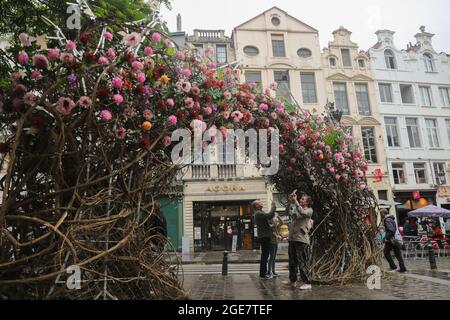 Bruxelles, Belgique. 17 août 2021. Les gens prennent des photos d'une installation de fleurs dans le centre de Bruxelles, en Belgique, le 17 août 2021. Un événement floral « Bruxelles à Bloom » a eu lieu du 15 août au 5 septembre de cette année dans les rues autour de la Grand-place de Bruxelles, alors que le tapis de fleurs a été déplacé en août 2022. Credit: Zheng Huansong/Xinhua/Alay Live News Banque D'Images