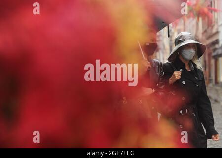 Bruxelles, Belgique. 17 août 2021. Les gens marchent devant une installation de fleurs dans le centre de Bruxelles, Belgique, le 17 août 2021. Un événement floral « Bruxelles à Bloom » a eu lieu du 15 août au 5 septembre de cette année dans les rues autour de la Grand-place de Bruxelles, alors que le tapis de fleurs a été déplacé en août 2022. Credit: Zheng Huansong/Xinhua/Alay Live News Banque D'Images