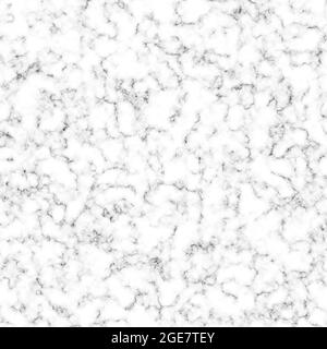 Marbre granit blanc panorama arrière-plan mur motif graphique abstrait gris clair élégant pour sol céramique contrefort texture pierre. Banque D'Images