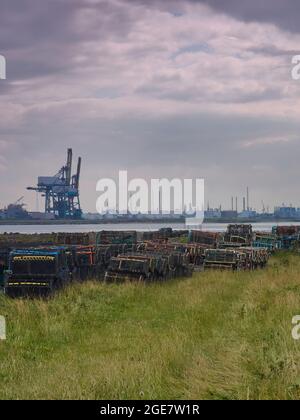 Des pots de homard empilés prêts à être utilisés sur un remblai d’herbe par Paddy’s Hole, avec les immenses grues à conteneurs de Teesport qui se profilent en arrière-plan. Banque D'Images