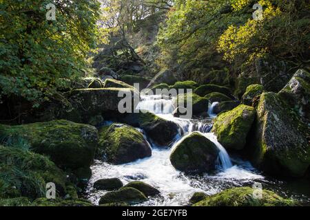 Une petite cascade dans la rivière West Okement sur Dartmoor, Devon. Banque D'Images