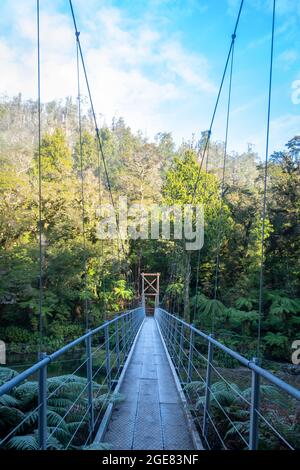 Pont suspendu au-dessus de la rivière Pororari, Paparoa Track, (l'une des grandes promenades de Nouvelle-Zélande) Parc national de Paparoa, côte ouest, Île du Sud, Nouvelle-Zélande Banque D'Images