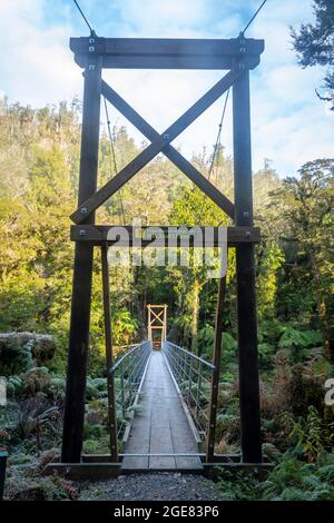 Pont suspendu au-dessus de la rivière Pororari, Paparoa Track, (l'une des grandes promenades de Nouvelle-Zélande) Parc national de Paparoa, côte ouest, Île du Sud, Nouvelle-Zélande Banque D'Images