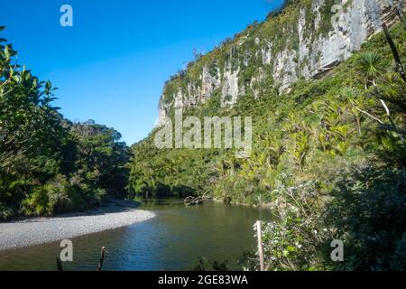 Falaises calcaires au bord de la rivière Pororari sur la piste de Paparoa, (l'une des grandes promenades de Nouvelle-Zélande), parc national de Paparoa, côte ouest, Île du Sud, Nouvelle-Zélande Banque D'Images