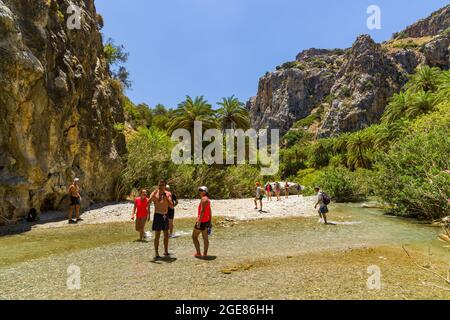 PREVELI, CRÈTE - JUILLET 21 2021 : une foule de personnes explorant la forêt naturelle de palmiers et la plage de sable de Preveli, sur la côte sud de l'île grecque Banque D'Images