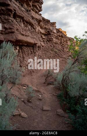 Sage Brush flanks Trail le long de Cliff Side dans le parc national de Capitol Reef Banque D'Images