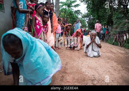 Les villageois ont célébré la déesse Manasa (la déesse hindoue de Serpentine) Puja. Dans le cadre du rituel, les fidèles avant le culte attrapent des serpents toxiques (principalement cobra) des rizières, les dents de serpents sont enlevées par des charmeurs de serpents et les gardent avec leurs chalets et plus tard adorées dans le cadre de rituels traditionnels. Ce festival est connu sous le nom de « Jhapa ». Le festival de Jhapas est célébré chaque année le 17 août à l'occasion de la déesse Manasa Puja. Jhapas Festival est le plus grand festival de serpent de Jharkhand et Bengale. Lors de la fête de Manasa Puja, les charmeurs de serpents s'en mêle au serpent venimeux Banque D'Images