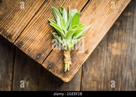 Bouquet de feuilles de sauge verte fraîche sur fond rustique. Mise au point sélective. Banque D'Images