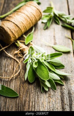 Bouquet de feuilles de sauge verte fraîche sur fond rustique. Mise au point sélective. Banque D'Images