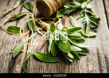 Bouquet de feuilles de sauge verte fraîche sur fond rustique. Mise au point sélective. Banque D'Images