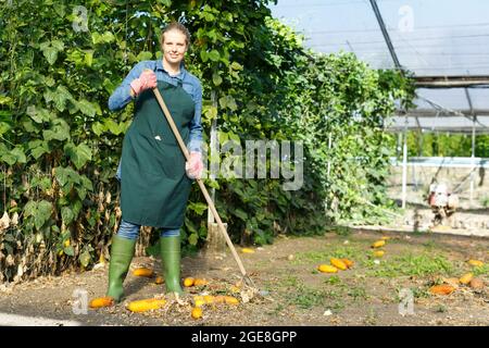 Femme agriculteur jardinage dans la serre Banque D'Images