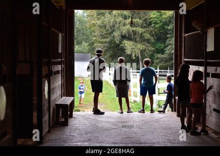 Shavertown, États-Unis. 17 août 2021. Les enfants attendent un autre campeur pour retourner à la grange. Chaque été, les enfants qui ont subi un traumatisme ou une perte sont acceptés au camp de deuil agricole. Les enfants apprennent les corvées de base de la ferme mais ont aussi la chance d'interagir avec les animaux et les conseillers. Le camp comprend également des thérapies et des leçons pour aider les enfants à faire face aux pertes qu'ils ont subies. Le camp se trouve sur une ferme éducative appelée « les terres à Hillside ». Crédit : SOPA Images Limited/Alamy Live News Banque D'Images