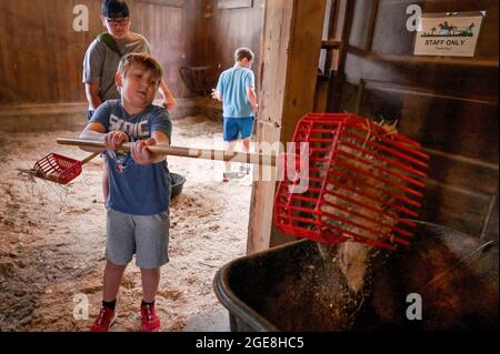 Shavertown, États-Unis. 17 août 2021. Les enfants sont vus nettoyer les étals de cheval, de chèvre et de veau.chaque été, les enfants qui ont subi un traumatisme ou une perte sont acceptés au camp de deuil agricole. Les enfants apprennent les corvées de base de la ferme mais ont aussi la chance d'interagir avec les animaux et les conseillers. Le camp comprend également des thérapies et des leçons pour aider les enfants à faire face aux pertes qu'ils ont subies. Le camp se trouve sur une ferme éducative appelée « les terres à Hillside ». Crédit : SOPA Images Limited/Alamy Live News Banque D'Images