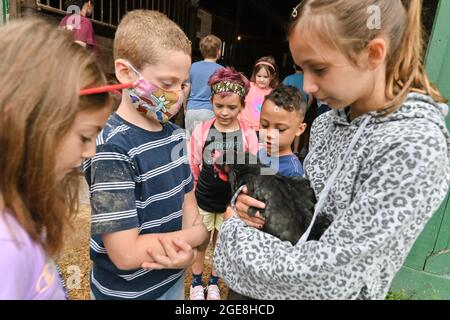 Shavertown, États-Unis. 17 août 2021. Les enfants tiennent et enferme une poule à l'extérieur de la grange. Chaque été, les enfants qui ont subi un traumatisme ou une perte sont acceptés au camp de deuil agricole. Les enfants apprennent les corvées de base de la ferme mais ont aussi la chance d'interagir avec les animaux et les conseillers. Le camp comprend également des thérapies et des leçons pour aider les enfants à faire face aux pertes qu'ils ont subies. Le camp se trouve sur une ferme éducative appelée « les terres à Hillside ». Crédit : SOPA Images Limited/Alamy Live News Banque D'Images