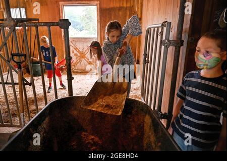 Shavertown, États-Unis. 17 août 2021. Les enfants sont vus nettoyer les étals de cheval, de chèvre et de veau.chaque été, les enfants qui ont subi un traumatisme ou une perte sont acceptés au camp de deuil agricole. Les enfants apprennent les corvées de base de la ferme mais ont aussi la chance d'interagir avec les animaux et les conseillers. Le camp comprend également des thérapies et des leçons pour aider les enfants à faire face aux pertes qu'ils ont subies. Le camp se trouve sur une ferme éducative appelée « les terres à Hillside ». Crédit : SOPA Images Limited/Alamy Live News Banque D'Images