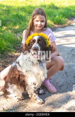 La petite fille blonde avec des pissenlits est assise avec le chien Springer Sapiel sympathique Banque D'Images