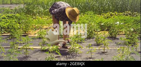 La femme est impliquée dans l'agriculture et le jardinage. Banque D'Images