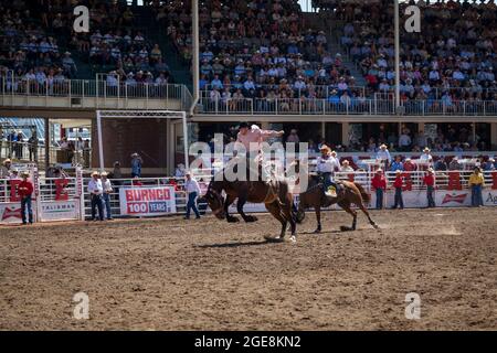 Le cowboy se promette à l'occasion du centenaire du Stampede de Calgary, en Alberta. Banque D'Images