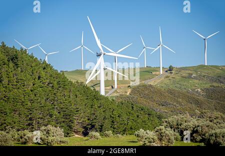 west Windfarm près de Wellington Banque D'Images