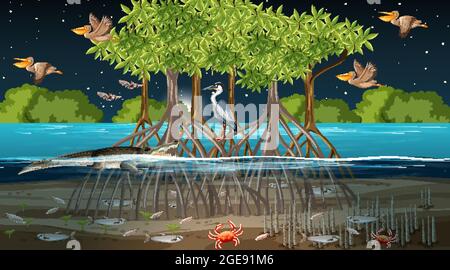 Paysage de la forêt de mangroves scène la nuit avec de nombreuses illustrations d'animaux différents Illustration de Vecteur