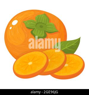 Des tranches entières et coupées de fruits persimmon frais isolés sur fond blanc. Fruits d'été pour un style de vie sain. Fruits biologiques. Style de dessin animé. Vecteur il Illustration de Vecteur