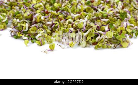 Germes de radis isolés sur blanc. Radis Daikon biologique Sproued avec graines et racines. Germination des graines à la maison. Vegan et concept de saine alimentation. Banque D'Images