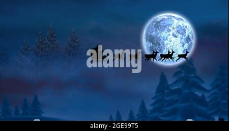 Composition du père noël en traîneau avec renne sur les sapins et la lune Banque D'Images