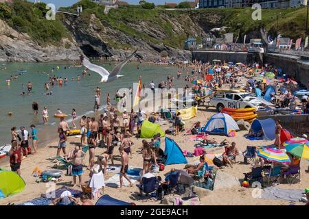 Towan Beach regorge de vacanciers de vacances d'été à Newquay, dans les Cornouailles. Banque D'Images