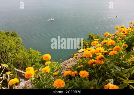 Lit fleuri de marigolds sur une terrasse face à la mer dans le château de Duino près de Trieste, Italie Banque D'Images