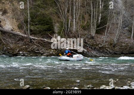 Homme rafting avec son chien dans un bateau en caoutchouc sur le Rhin à Safiental, Suisse au début du printemps. Banque D'Images