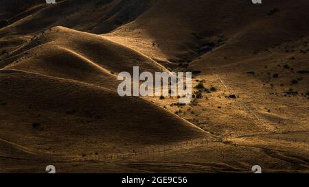 Collines ondoyantes au col de Lindas en automne, île du Sud, Nouvelle-Zélande Banque D'Images