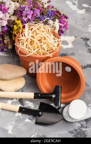 Outils de jardinage et pots de fleurs en terre cuite d'argile sur fond de béton gris Banque D'Images