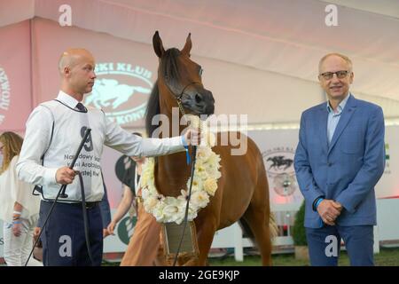 'Pride of Poland 2021' - festival annuel de chevaux arabes de classe mondiale. Comme une tradition de longue date, le festival a été la vente aux enchères de chevaux arabes de sang pur de la ferme de clous à Janow Podlaski, qui possède certains des plus beaux et coûteux pur chevaux arabes élevés sur le monde. Banque D'Images