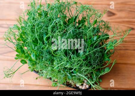 Pois Microgreen sur fond de bois. Vue de dessus. Banque D'Images