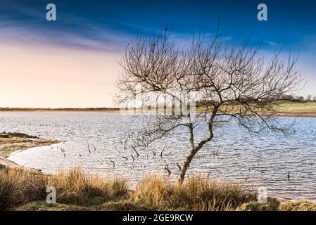 Soleil d'hiver en fin d'après-midi au-dessus du lac Colliford sur Bodmin Moor, dans les Cornouailles. Banque D'Images