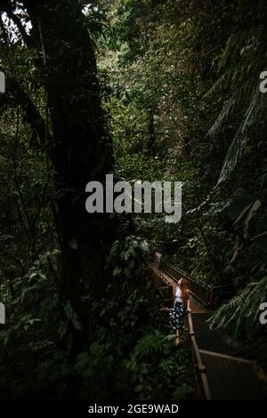 Jeune femme assise sur une passerelle étroite entourée d'une végétation tropicale verte et luxuriante et regardant vers le haut tout en explorant la nature pendant l'aventure estivale Banque D'Images