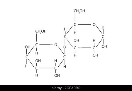 Structure chimique du lactose, Anatomie du lactose , structure moléculaire de   , Formule chimique du lactose, structure du lactose, sucre qui est dans le lait Illustration de Vecteur