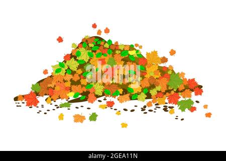 Pile de feuilles d'automne isolées sur fond blanc. Feuillage d'érable coloré en tas. Les feuilles sèches multicolores tombent sur la pile.concept de saison d'automne.vecteur Illustration de Vecteur